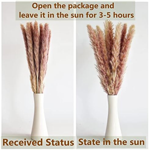 110 PCS of Boho Pampas Grass Decor, Naturally Dried Pompas, Bunny Tails Dried Flowers, and Dried Eucalyptus. Perfect for Weddings, Boho Party Decorations, and Table Decor. (Pack of 2)