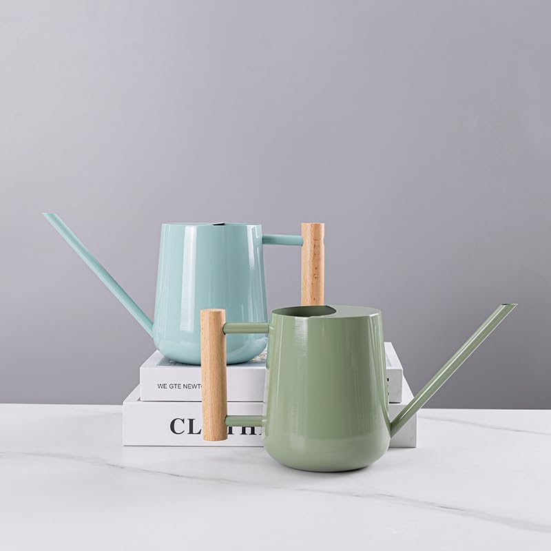 Watering Can Indoor Plants, 30oz/900ml Small Plant Watering Can with Long Spout, Stainless Steel Garden Watering Cans