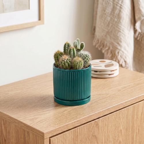 4 Inch Ceramic Pots for Plants, Plant Pots with Tray, Blackish Green