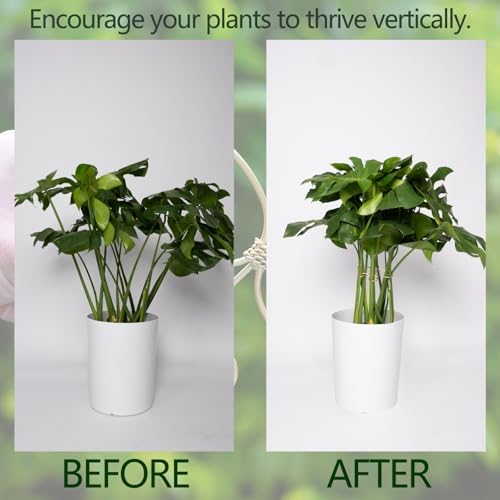 5PCS Monstera Plant Stem Support Stakes - 5.5 in Metal Supports