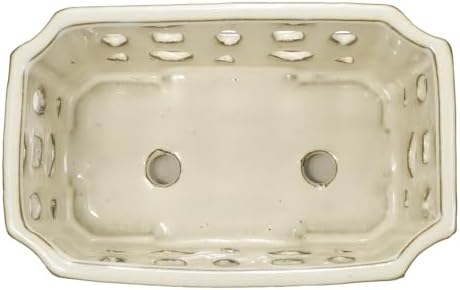 W&W Orchid Pot with Holes and Saucer for Repotting, Cream White, 9.7 Inch