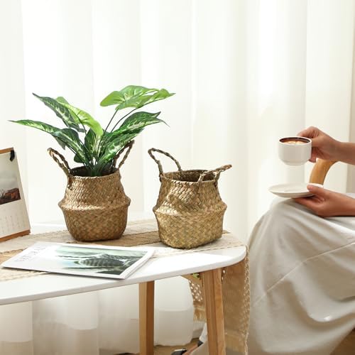 Qunclay 8 Pcs Woven Seagrass Baskets Belly Basket, XXS,6.3''dx5.5''h