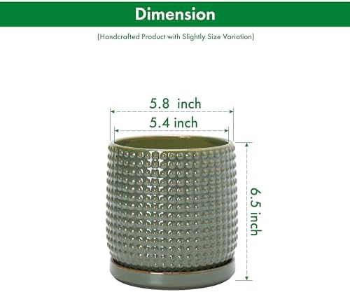 D'vine Dev Beaded Ceramic Pot with Saucer, 6 in, Olive, 27-C-X-0