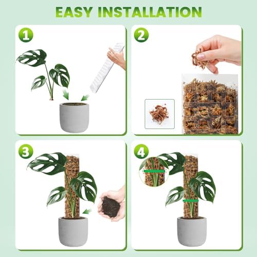 EOX Plastic Moss Pole for Monstera and Climbing Plants, 15-Inch, 6-Pack