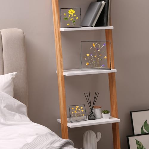 REDHUGO Double Glass Frame for Pressed Flowers, Square, Black, 4x4 Inches