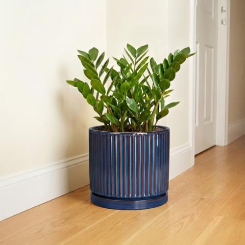 Ceramic Planter, 10 Inch Plant Pots with Saucer, Retro Blue