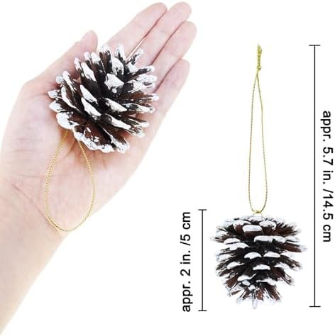 Winlyn 30 Pcs Frosted White Natural Pinecones Christmas Ornaments - Hanging With String for Tree Decorations, Winter Wedding, Holiday Party, DIY Craft, Seasonal Wreath