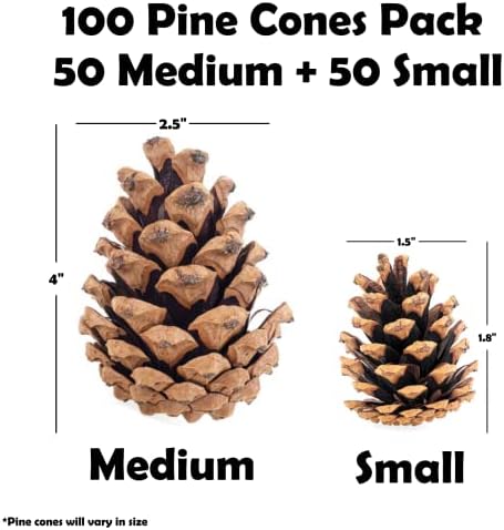 Billy Buckskin Natural Pine Cones for Decorating & Crafts 100-Pack Mix Size