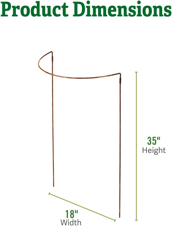 Gardener's Supply Company Jardin Half Round Plant Supports -18" x 35" | Sturdy Powder Coated Metal Outdoor Garden Plant