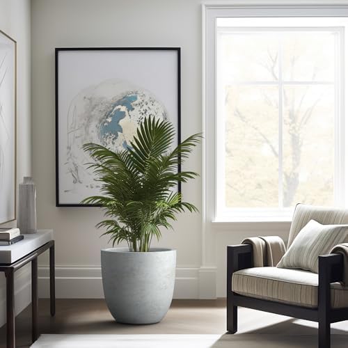 Kante Large Round Bowl Pale Gray Concrete Planter 18" Dia, Outdoor