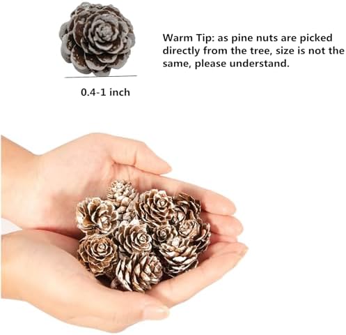 160 PCS Mini Snow Pine Cones Christmas Thanksgiving Pine Cones Bulk White Christmas Small Tiny Pinecones Ornaments for Home Decoration DIY Crafts Wedding Xmas Tree Fall Winter Decor