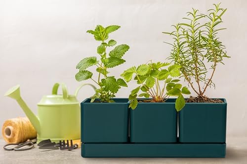 D'vine Dev 2-Pack Plastic Herb Garden Planter Set, Green, 76-V-C-2