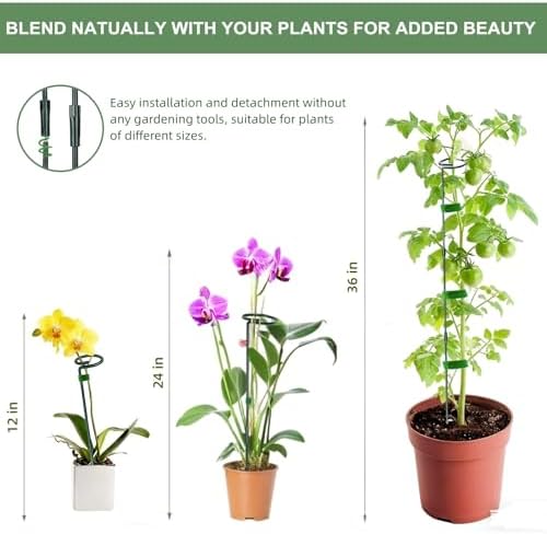 2 Pack Plant Support Sticks, 3 Sizes (12 or 24 or 36 inch) Garden Plant Stake, Plant Support Rings for Indoor Outdoor with Plants Ties, Plants Stakes for Flowers, Climbing Plants, Orchid