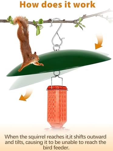 13" Bird Feeder Rain Cover,Bird Feeder Dome,Hummingbird Feeder Squirrel Guard, Proof Bird Feeders Baffle,Smart Birds Feeder's Umbrella(Green), 1 Pack