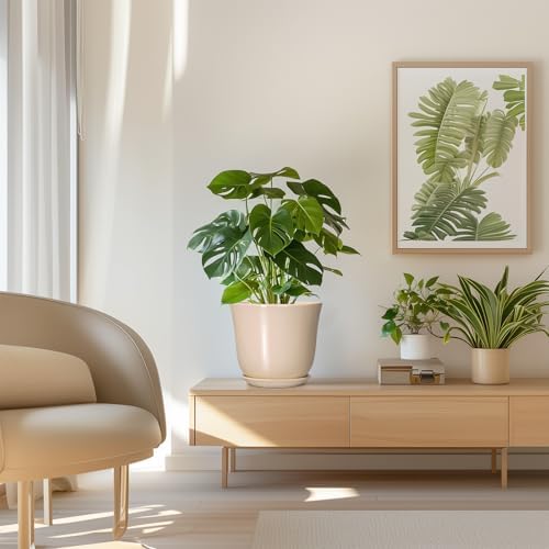 8 Inch Plant Pot, Ceramic Pots for Plants Indoor, Beige