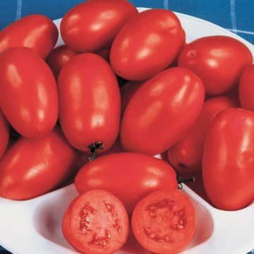 Park Seed Ultimate Vegetable Soup Seed Collection – Non-GMO Heirloom Garden Kit with Onion, Carrot, Celery, Roma Tomato