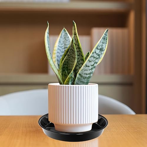 6 Pack Plant Saucer Drip Tray 7 8 inch, Plant Drainage Trays, Heavy Sturdy Plastic Planter Flower Pot Saucers for Indoor Outdoor Garden, Plant Water Drip Trays for pots (8", Black)