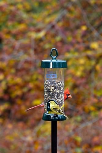 Brome Tube100 Wild Bird Feeder, Metal – 2 Seed Ports, 1.7 lb Capacity, Extra-Wide Perches, Easy to Fill & Clean, Pole-Mountable, Seed Tray Available