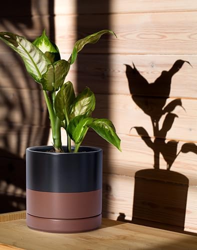 D'vine Dev 6.5 Inch Ceramic Planter Pot, Black/Tan, 94-O-C-7