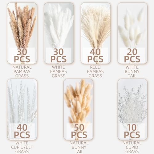 220PCS Natural Dried Pampas Grass Boho Home Decor Bouquet Phragmites Dried Flowers Bouquet for Wedding Floral Arrangements Home Decorations (220PCS)