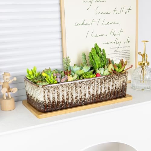 Succulent Pots, 12'' Long Rectangle Planters with Tray, Windowsill Planter
