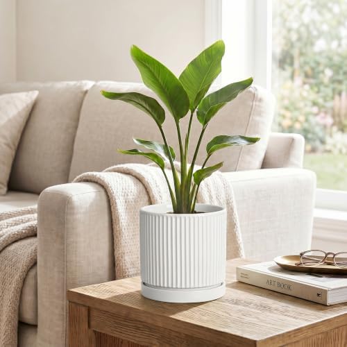 Ceramic Plant Pots 6 Inch, Round Pots for Plants with Tray, White