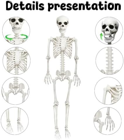 CAMIRUS 5.4ft & 3ft Posable Life Size Plastic Skeleton Halloween Decor