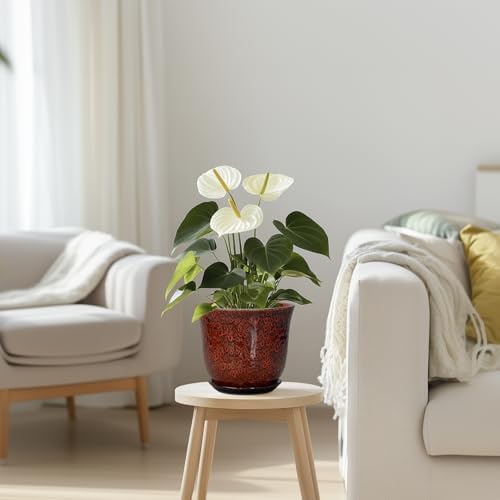 Ceramic Plant Pots - 5.6 Inch Plant Pot Indoor Outdoor, Small Planter with Drainage Hole and Saucer, Round Planter, Orchid Succulent Pots, Garden Room Decor, Gardening Gifts for Women, Red