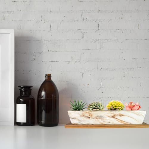 ARTKETTY Succulent Pots, 9.8 Inch Ceramic Succulent Planters with Drainage