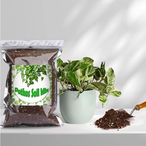 Doter Organic Pothos Soil Mix 10qt, Indoor Plants Potting Mix for All Potted Pothos, Grow Healthy houseplants Indoors