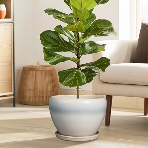 Ceramicfor 10 Inch Ceramic Planter Pot, Cream White