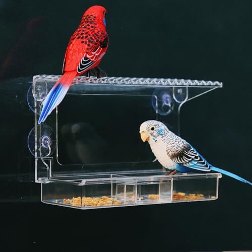 Window Bird Feeder with Strong Suction Cups – Flat-Tile Roof Acrylic Bird Feeder for Outdoors, Clear Viewing Box for Wild Birds & Cats, Easy-to-Clean, Large Capacity, Transparent Birdhouse Feeder