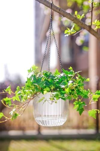 Melphoe 2 Pack Self Watering Hanging Planters Indoor Flower Pots, 6.5 Inch Outdoor Hanging Plant Pot Basket, Plant Hanger with 3Hooks Drainage Holes for Garden Home