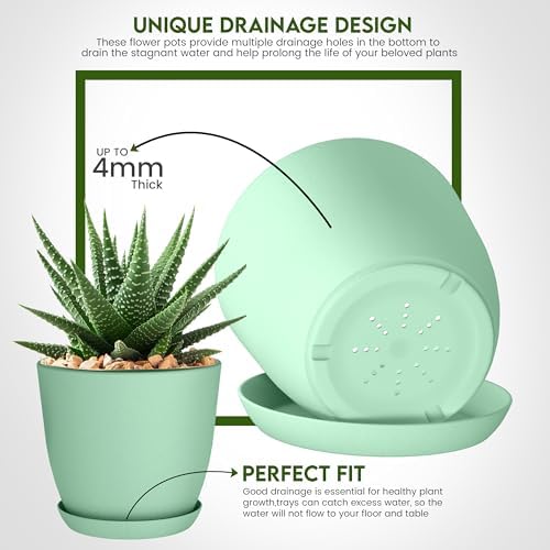 Plant Pots Indoor with Drainage, 10 Pack Multi-Size Planters Set, Mint