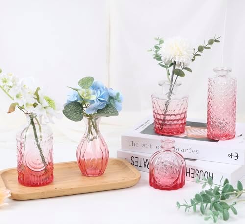 5pcs Pink Glass Bud Vase Set, Small Flower Vases for Centerpieces in Bulk