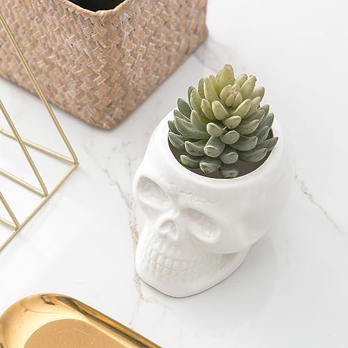 Tanvecle White Skull Planter Pots, Gothic Skeleton Vase for Halloween