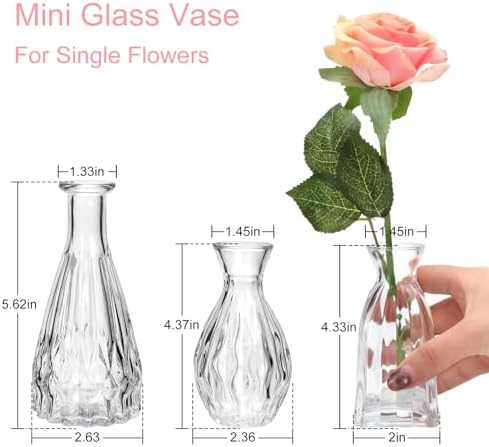 Glass Bud Vases in Bulk, 3pcs Small Glass Vase for Centerpieces