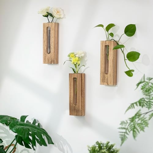 Wood Wall Vase with Glass Tube for Plant Propagation