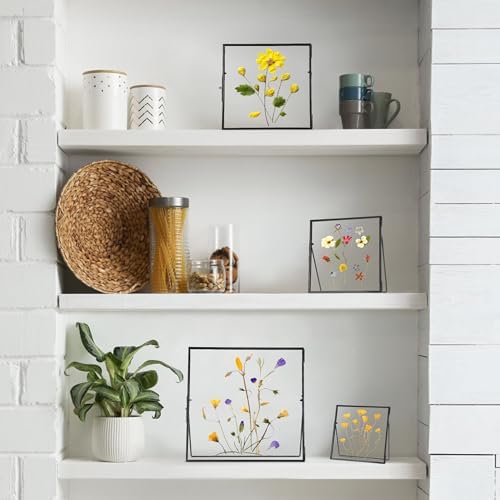 REDHUGO Double Glass Frame for Pressed Flowers, Square, Black, 4x4 Inches