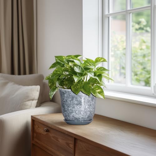 Ceramic Planter, 6 Inch Plant Pot for Indoor Plants, Grey