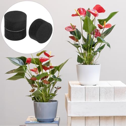 QWORK Invisible Pot Feet Risers, 50 Pcs EVA Foam Plant Risers, Planters Adhesive Pads, Plant Pot Feet for Enhanced Drainage, Ventilation, and Surface Protection