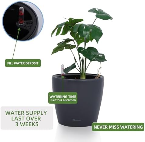 Dexceder 9x8 Self Watering Planter (Slate Gray Matte)