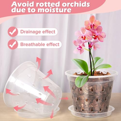 FUIJOL Orchid Pot, 6 Pack 456 Inch Clear Orchid Pots with Holes and Saucers for Repotting, Breathable Slotted Plastic Orchid Planters with Drainage for Root Health Indoor Outdoor