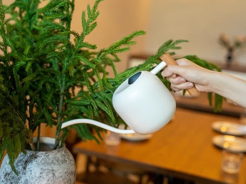 Green Moon 1.2L/41oz Metal Metal Watering Can with Long Spout, White