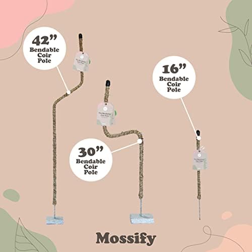Bendable Coir Pole for Climbing Plants, Sturdy, 30 in | Shapeable Steel Core Wrapped in Natural Manila, Monstera
