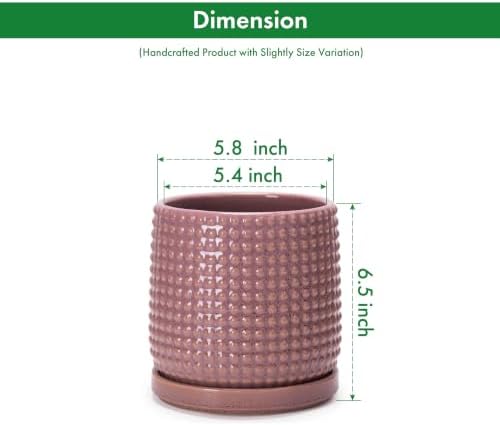 D'vine Dev Beaded Ceramic Pot with Saucer, 6 in, Blush Mauve, 27-C-X-K