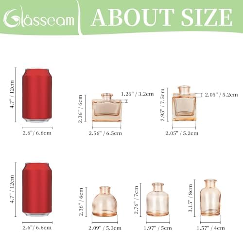 Glasseam Champagne Mini Bud Vases, 5 Pcs Small Glass Vases for Centerpieces