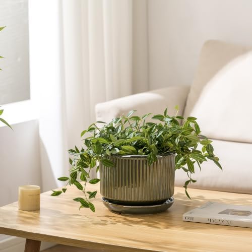 SURE YUESI Ceramic Plant Flower Pots for Indoor Plant, 4.33"+5.5"+6.88", Set of 3, Orchid Pot with Drainage Hole, Saucer and Hole Mesh Pad for Succulents, Herbs and African Violet (Light Green)
