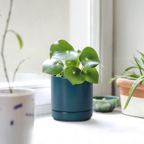 D'vine Dev 4.7 Inch Ceramic Planter Pot, Teal, 94-O-B-9