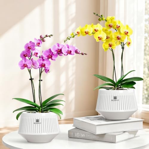 Orchid Pots with Holes for Repotting, Decorative African Violet Pots with Air-Pruning and Good Air Circulation, Plastic White Orchid Planter with Saucers, 5 Inch, Set of 2